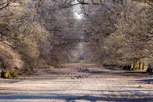 Frost on the Boughton House Estate (file picture)