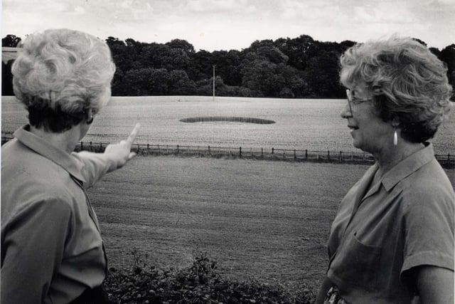 Visitors to the Samuel Pepys pub in Slipton stop to look at a crop circle in a nearby field (August 6, 1993)
