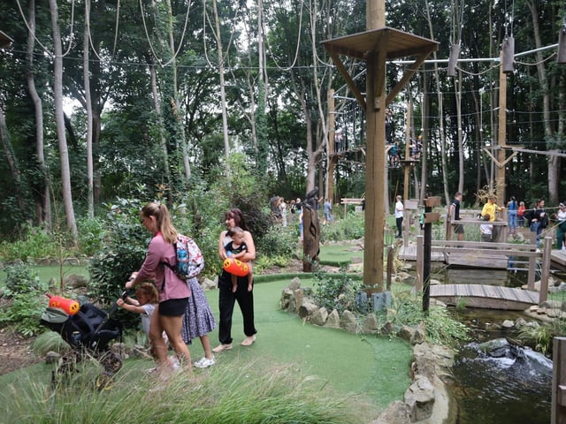 Iron Pit Woods summer fun day
