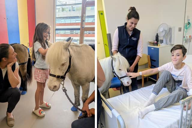 Children meeting the ponies on a recent visit to KGH
