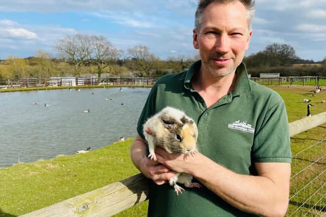 Mini Meadows Farm owner Ben Barraclough with a guinea pig.