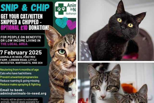 Animals In Need is launching a new community cat neuter clinic