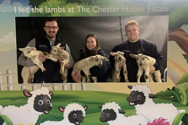 Some of the team in the lambing barn at Chester House Estate