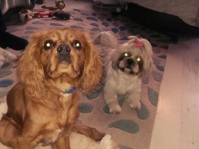 "Double trouble in Kettering"