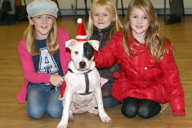 The Corby & District Dog Club holds it's Christmas party and all the dogs get dressed up.