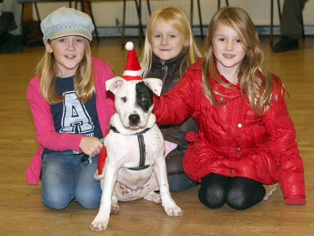 The Corby & District Dog Club holds it's Christmas party and all the dogs get dressed up.