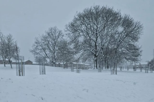"The snow makes the trees look pretty" (Corby)