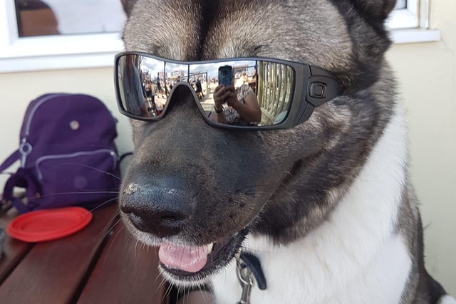 "Who says I can't look cool too?"