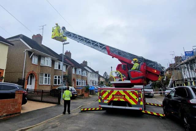 Firefighters helping rescue the Harris hawk in Northampton yesterday (Wednesday)