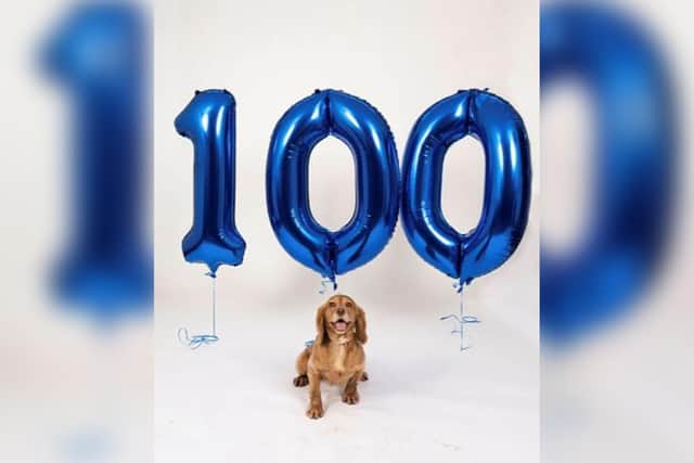 PD Rosie is celebrating her 100th deployment with Northamptonshire Police.