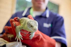 Moulton College has announced an exciting new partnership with Nature's SAFE