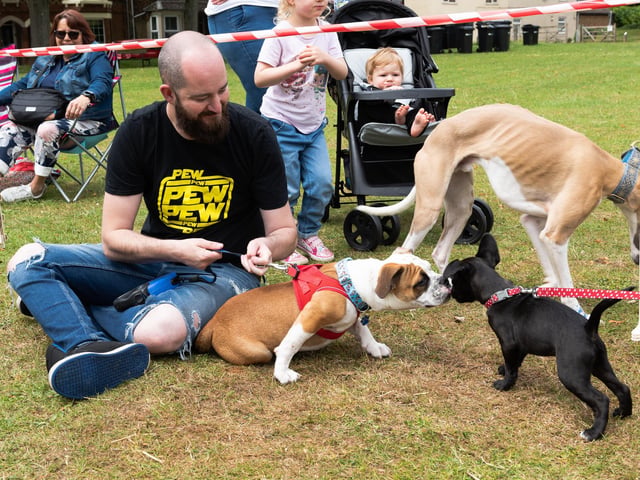 Dog owners turned up on Sunday (June 19) to Animals in Need Northamptonshire's Earls Barton Dog Show