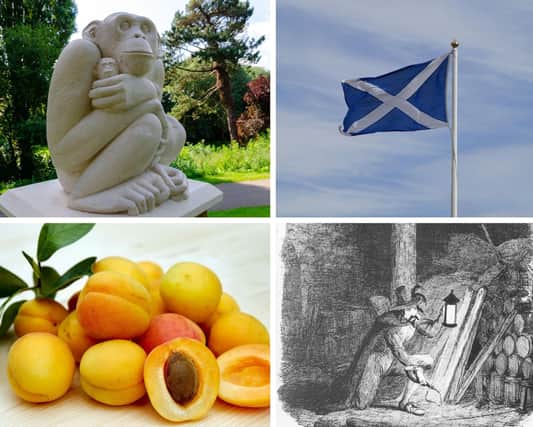 How many of these unusual Northamptonshire facts do you know?