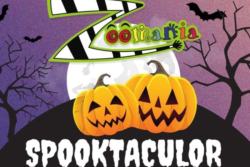 There will be a fright night maze walk, scary games, a fancy dress competition and a mini disco on October 28 and October 29 from 5.30pm at the Northampton soft play.
Visit the Zoomania Facebook page to find out more.