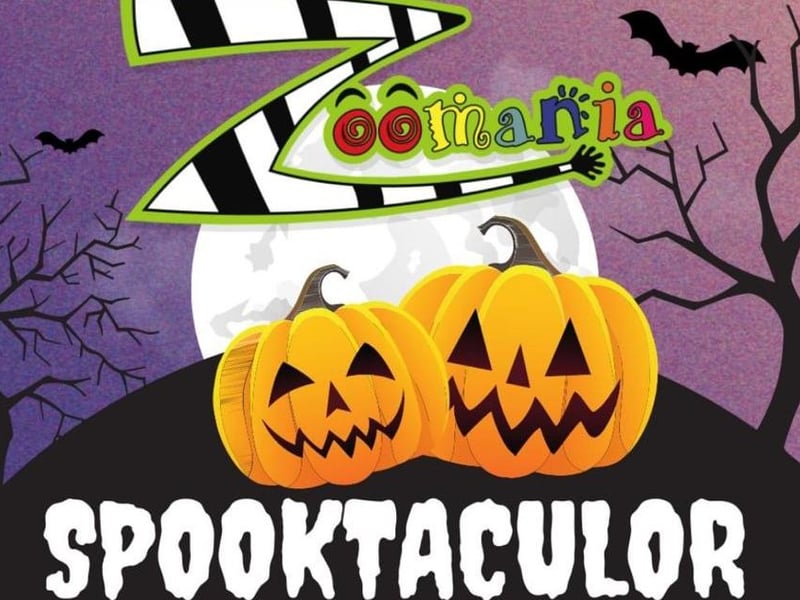 There will be a fright night maze walk, scary games, a fancy dress competition and a mini disco on October 28 and October 29 from 5.30pm at the Northampton soft play.
Visit the Zoomania Facebook page to find out more.