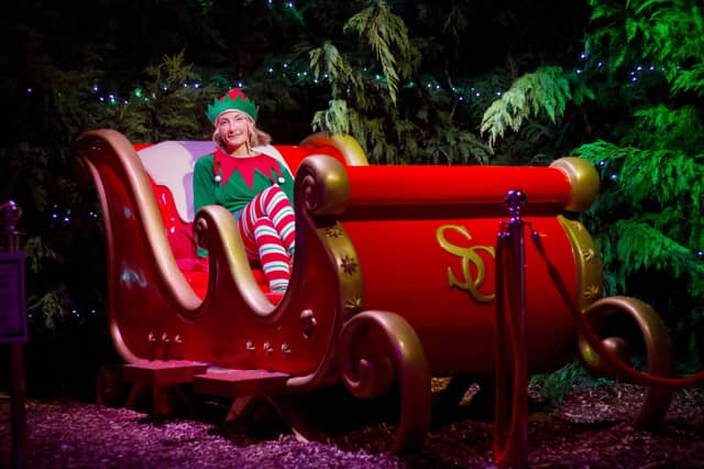 Mini Meadows Farm’s Christmas Experience has also proven popular with influencers including Molly-Mae Hague.