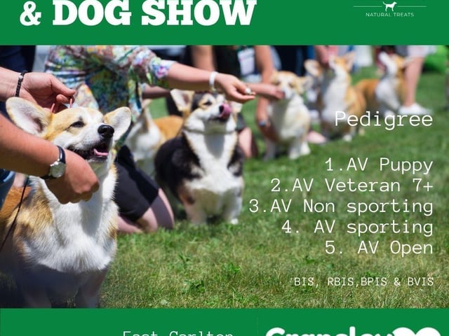 Pedigree dog show