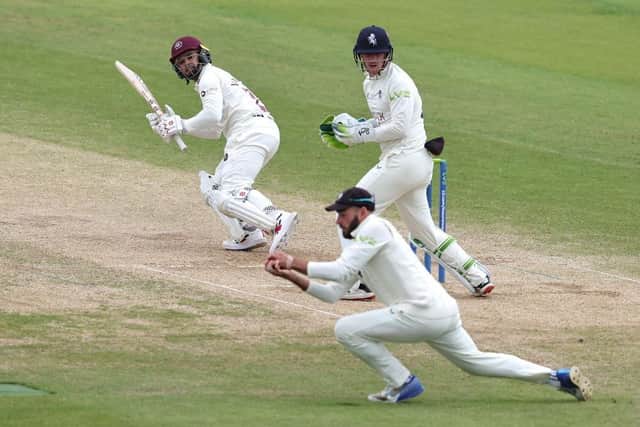 Ricardo Vasconcelos is snaffled at slip by Kent's Jack Leaning to be dismissed for 12 in Northants' second innings (Picture: David Rogers/Getty Images)