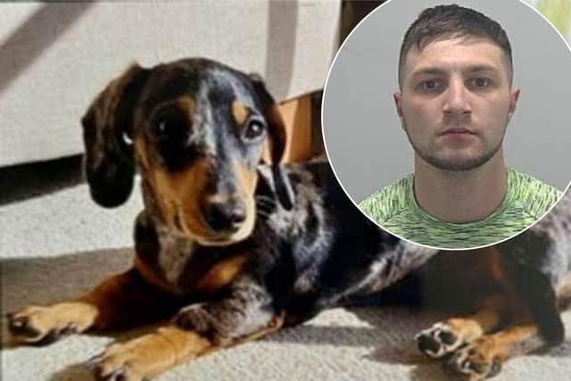 Sullivan Lee stole Peggy the pup in March last year. Image: Cambridgeshire Police