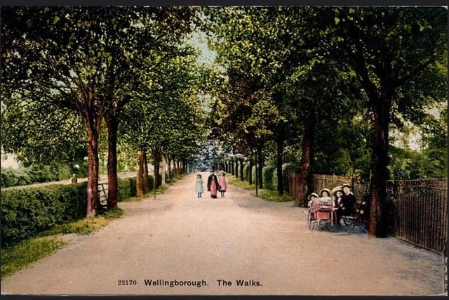 Dated 1905: Before the arrival of the motor car, walking was a popular pastime - whole families in their Sunday best would stroll beneath the branches after church, often meeting up with other relatives and friends. Indeed many married couples met for the first time in 'The Walks' - thanks to Tony Smith