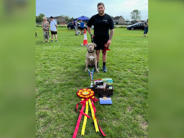Corby Dog Festival 2023 Best in Show