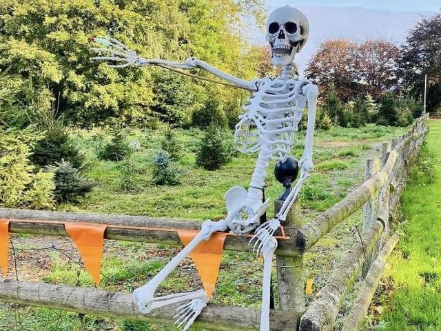 Christmas is not the only holiday this particular farm specialises in. Venture to Welford this October for their Spooky Family Pumpkin Hunt - complete activities, spot the bats to find the spooky scenes and answer the questions on your creepy clue sheet to claim a small prize. Tickets cost £2.50 for adults and £6.50 for children. The PYO pumpkin patch does not require pre-booked tickets and there is no admission fee.
