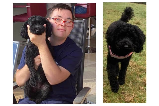 Dylan with support dog Darcy