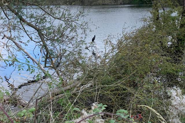 Rushden Lakes' Skew Bridge path will be closed tomorrow (Wednesday) for 'planned works'