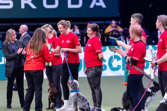 Nacho (Glendream Another Monster of Ashpen) with Ashleigh Butler, Agility Crufts Singles Final Medium winner on the second day of Crufts 2026 (Credit: Royal Kennel Club/BeatMedia)