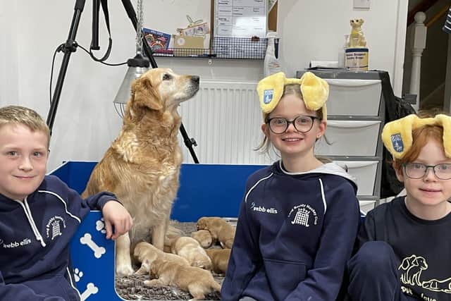 Rhys Jones, Beatrix Sheldon and Oliver Robertson with guide dog mum Lola and her puppies