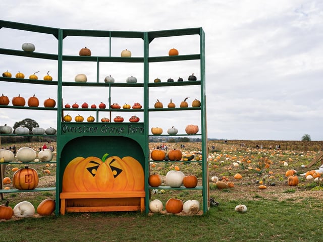 Alongside 30 varieties of pumpkins and squash the farm will have some spooky scenes and photo opportunities for you to enjoy, as well as a selection of food to enjoy (varying from toasties, baked potatoes, crepes, cakes etc). Booking is advisable to avoid disappointment. Book here: https://www.overstonegrangefarm.co.uk/.