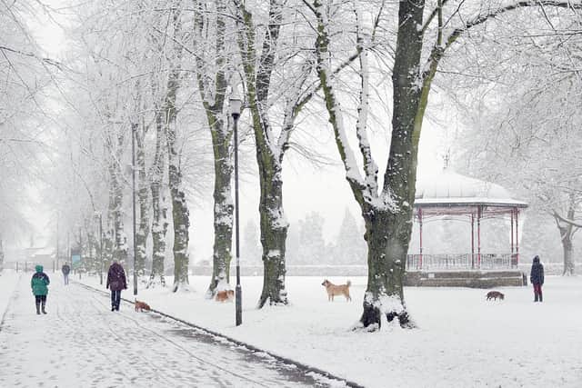 Glyn Dobbs snow pictures January 2012