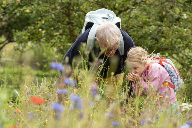 Explore the outdoors this summer with Lyveden's family activities