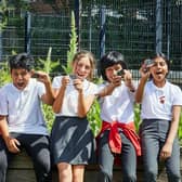 They’ll be distributed during the 2023/2024 academic year as part of a project to arm primary school children with the digital skills to understand the world around them and shape their own digital future