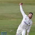 Rob Keogh claimed three wickets with his off-spin