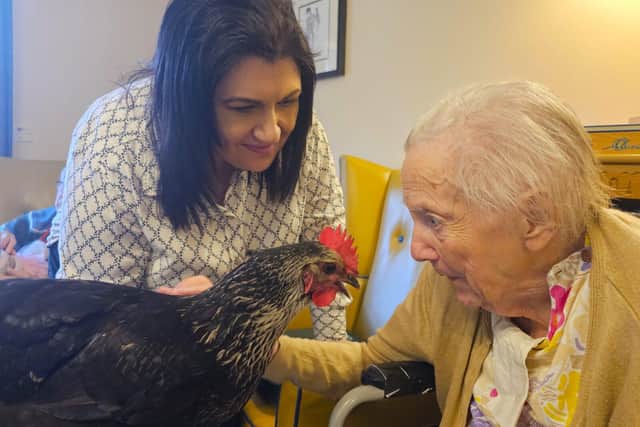 Doris the chicken, with resident Joan, what an enjoyable moment for all