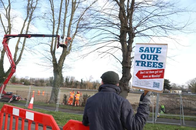 Protesters have been on site everyday for three weeks - so far 14 trees have been felled