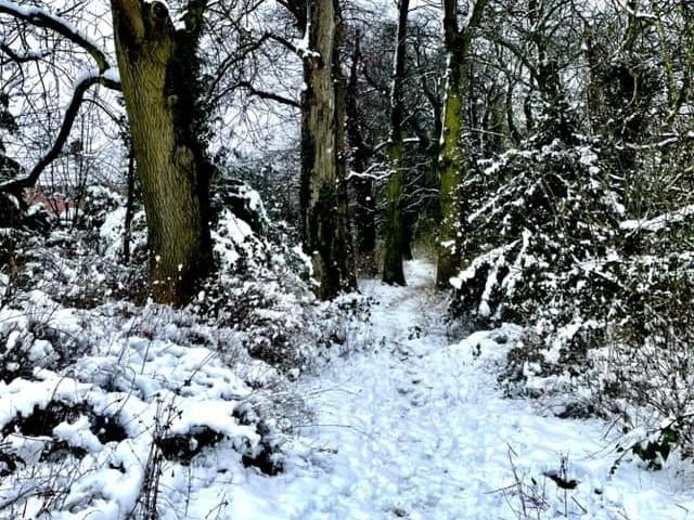 A beautiful picture from Burton Latimer, sent in by Sharon Perry