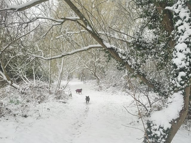 Claire Burgin sent in this picture from Corby
