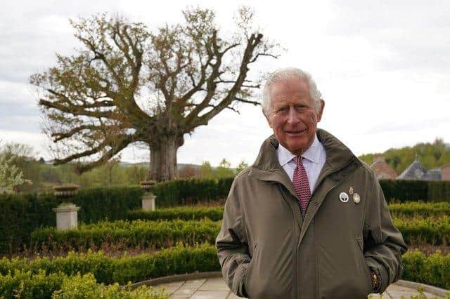The Prince of Wales, patron of The Queen's Green Canopy stands beside the 'Old Sycamore' in the Dumfries House garden,  to unveil a nationwide network of seventy ancient woodlands and seventy ancient trees, in celebration of the Platinum Jubilee.