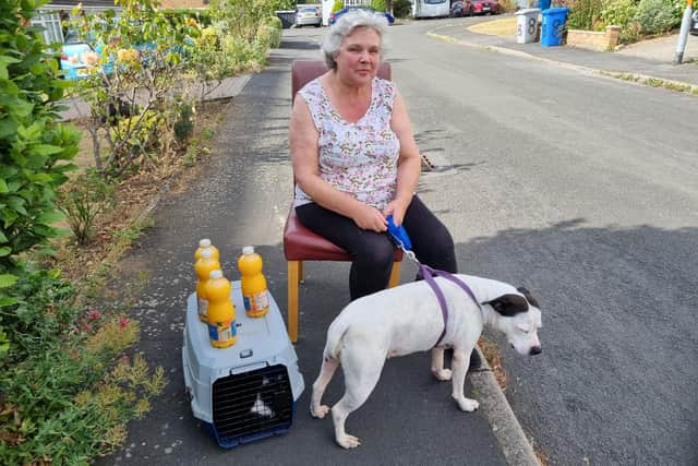 Jayne Robinson, who told the Co-op about the fire, with dog Roxy and cat Lusek