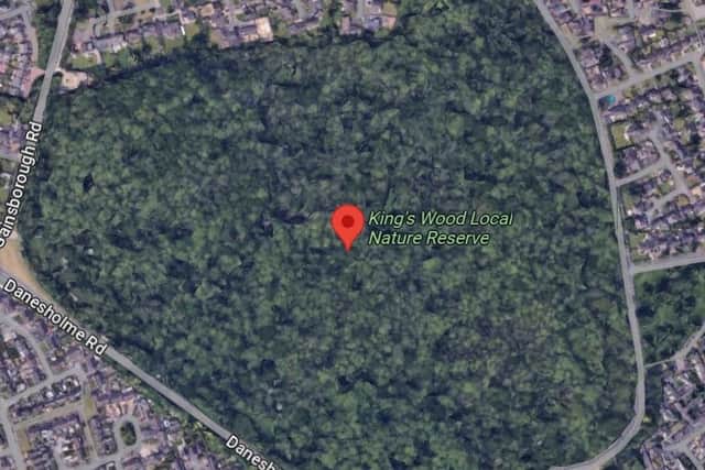 The attack took place at the Kings Wood nature reserve. Credit: Google