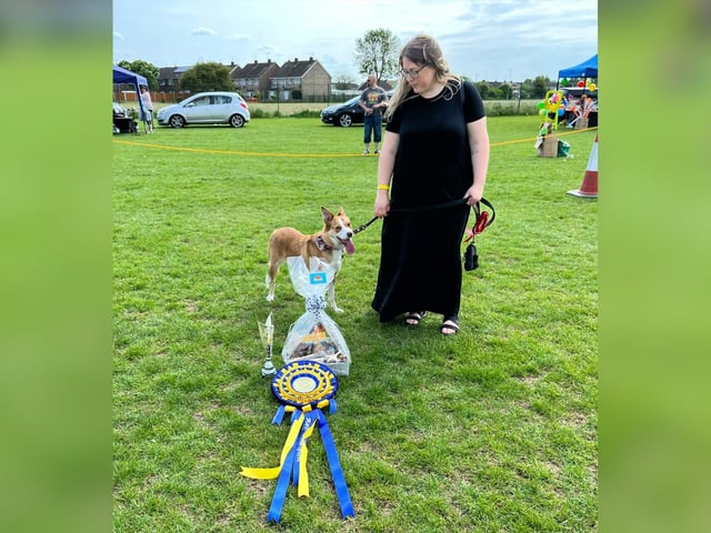 Corby Dog Festival 2023 Reserve Best in Show