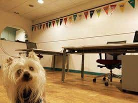 The RSPCA is opening a welfare hub in Rushden