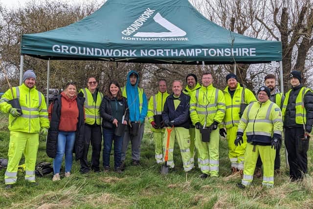 Tree Planting