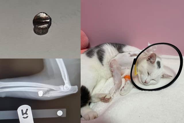 Theo, the X-ray showing the air rifle pellet, and the pellet which was removed from his limb