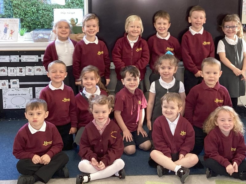 Havelock Infant School, Desborough - Hedgehogs class