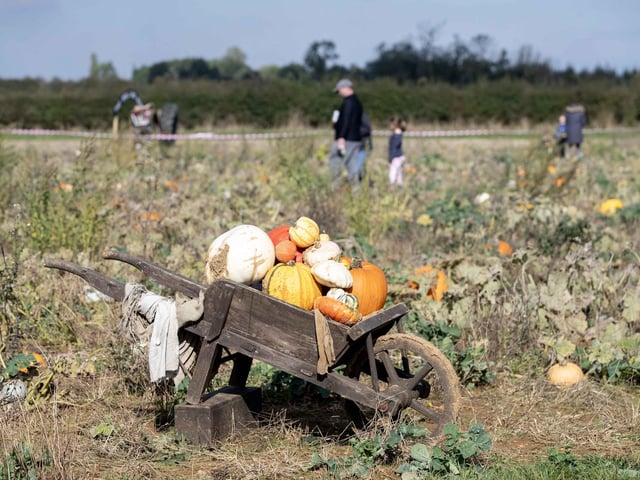 The farm reopened for the 2024 autumn season over the weekend (Saturday October 5 and Sunday October 6).