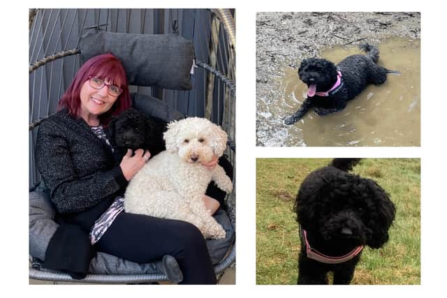 Karen with Darcy and her other dog Ted