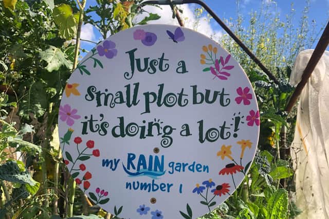 "Just a small plot, but it's doing a lot!"